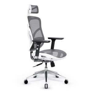Fotel ergonomiczny DIABLO V-BASIC: biało-szary