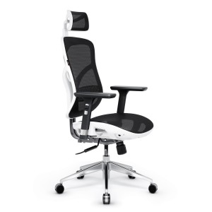 Fotel ergonomiczny DIABLO V-BASIC: biało-czarny